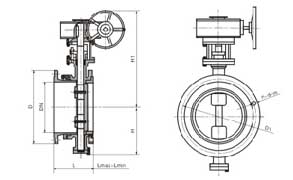 SD341X型法蘭式伸縮蝶閥外形結(jié)構(gòu)尺寸圖