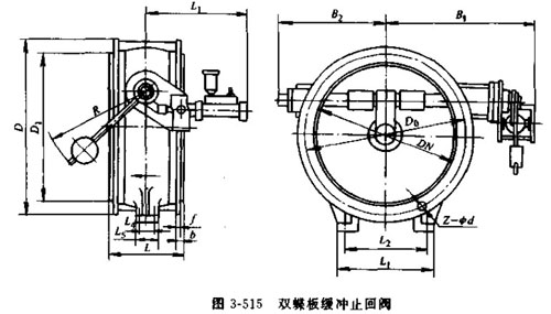 雙蝶板緩沖止回閥